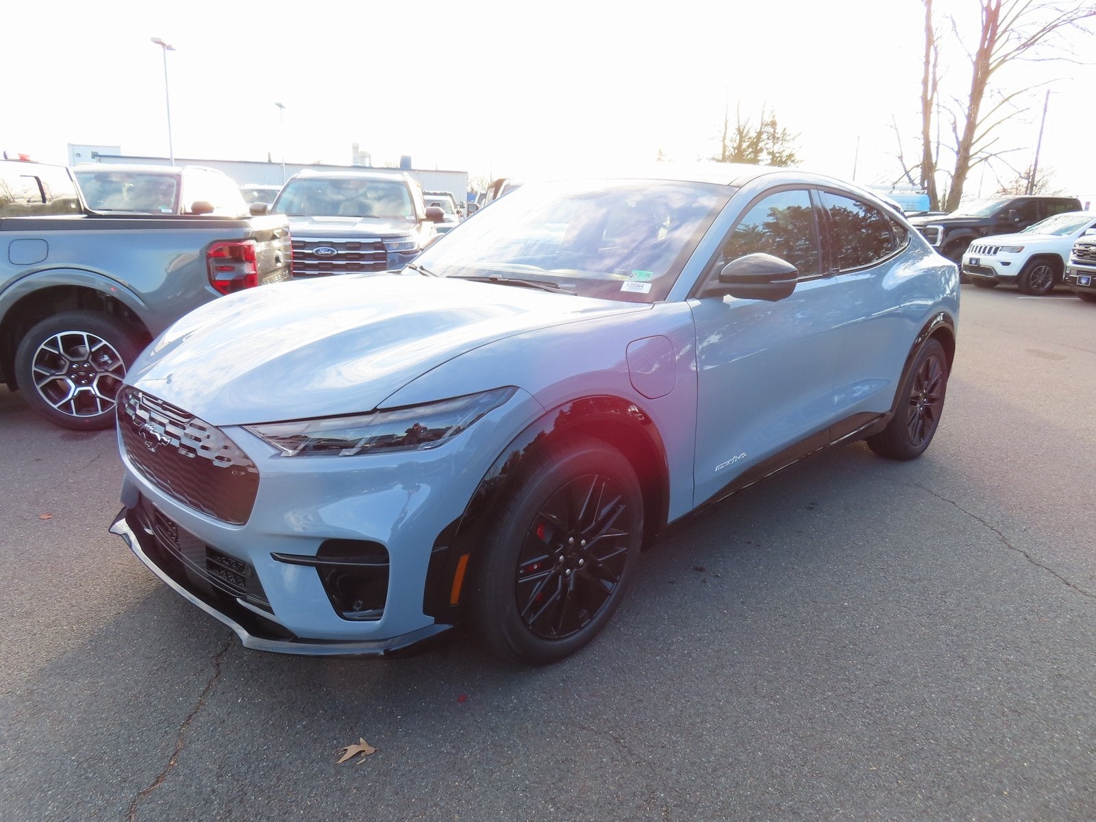 2025 Ford Mustang Mach-E Premium 300A EXT