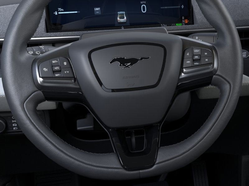 2025 Ford Mustang Mach-E Premium 300A EXT