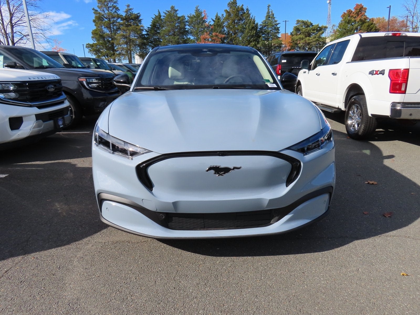 2025 Ford Mustang Mach-E Premium 300A EXT