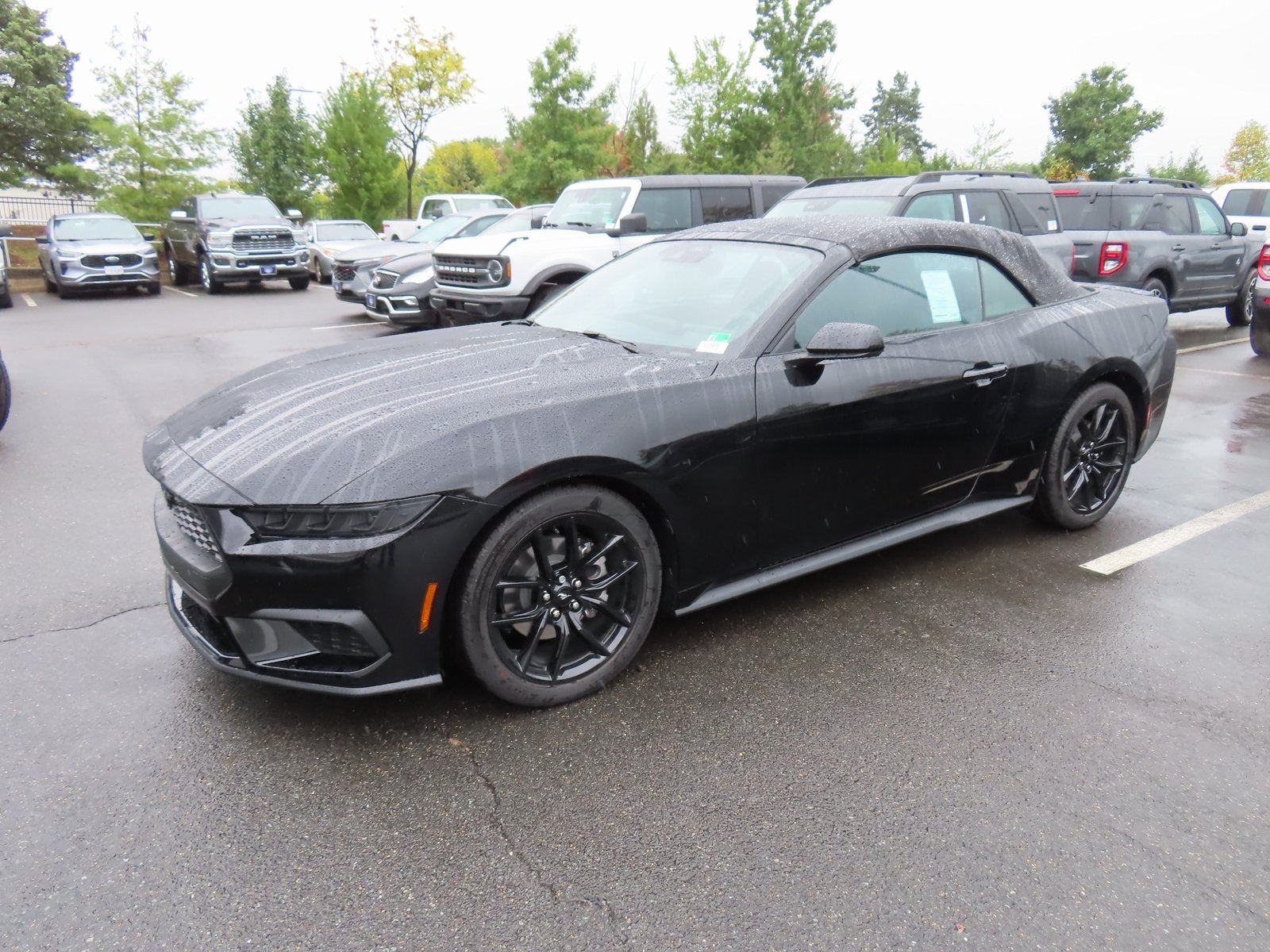 2025 Ford Mustang EcoBoost Convertible