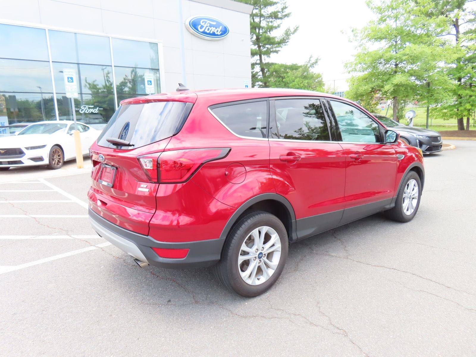 2019 Ford Escape SE