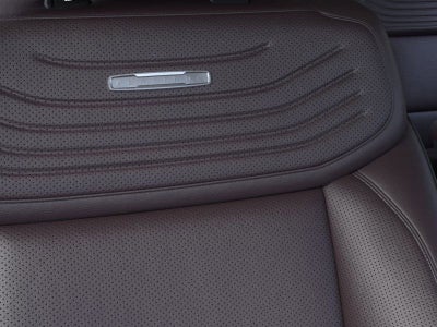 2025 Ford Expedition Platinum 600A