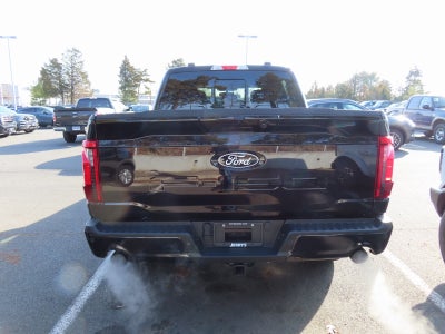 2025 Ford F-150 XLT 302A