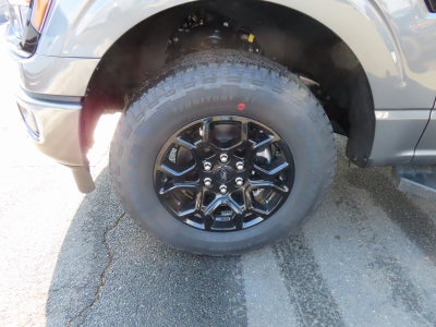 2026 Ford F-150 XLT 302A