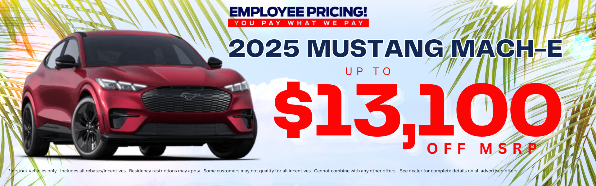 New Mustang Mach-E